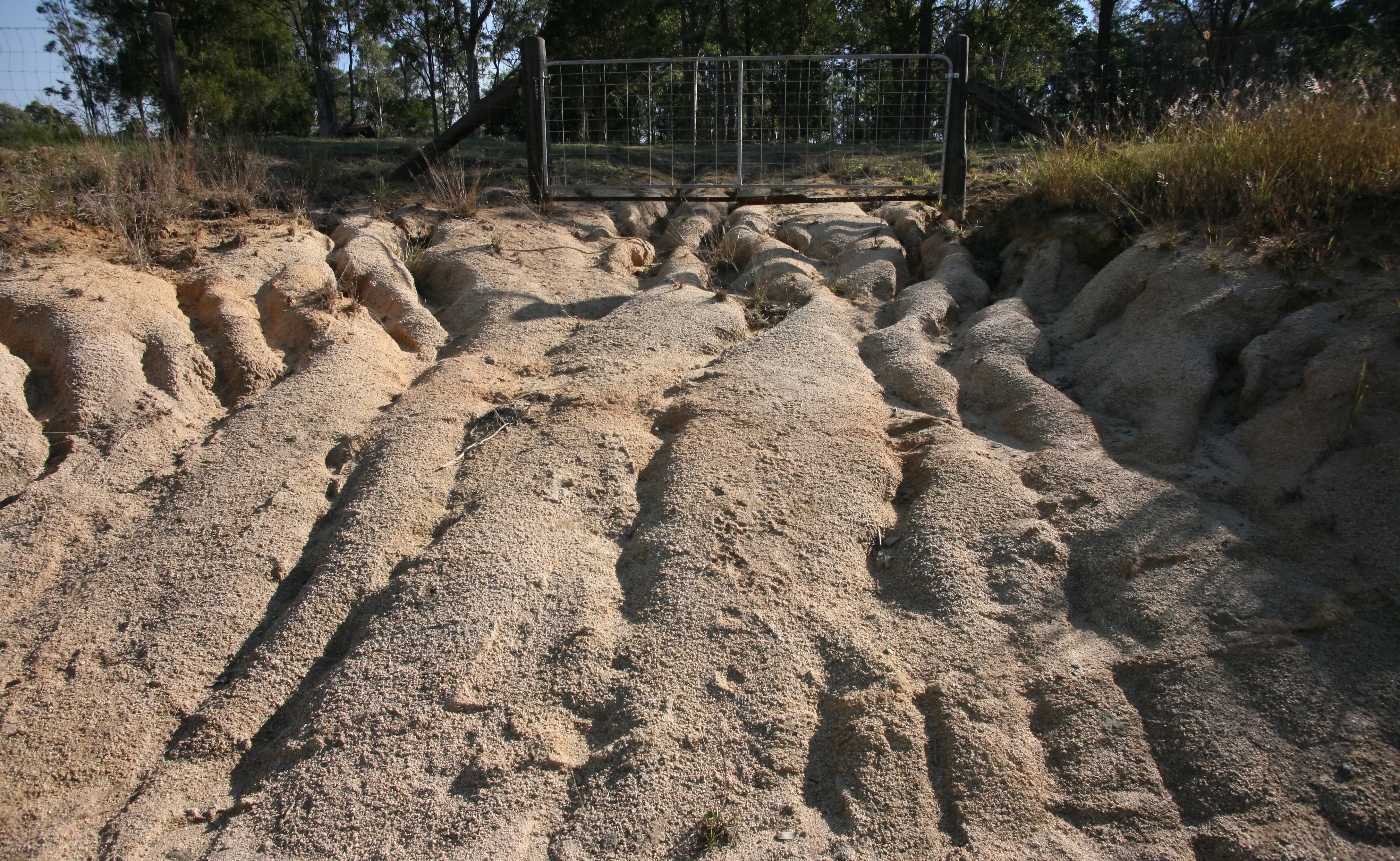 Soil Erosion